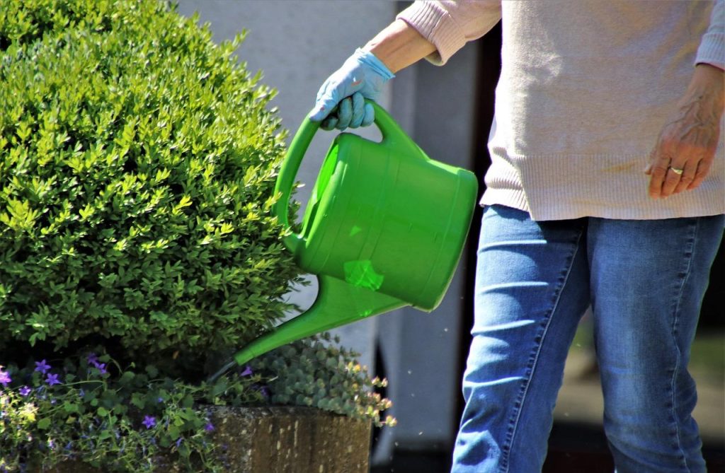 Professionele hovenier in Leeuwarden werkt aan tuinontwerp en onderhoud voor een prachtige buitenruimte